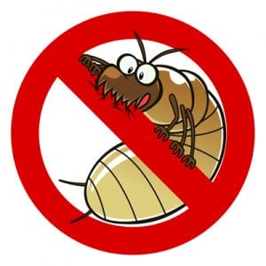 pest control termites