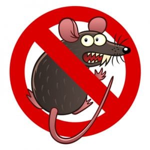 pest control rat