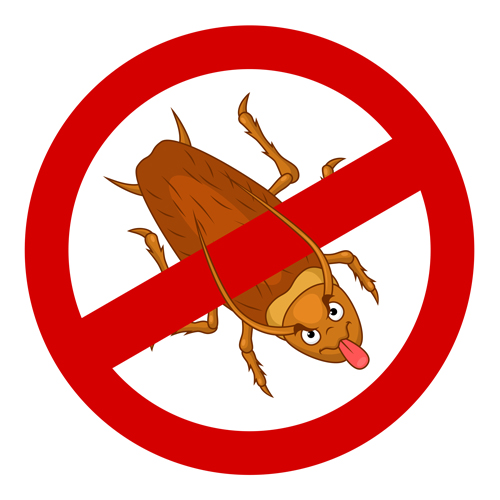 pest control roach